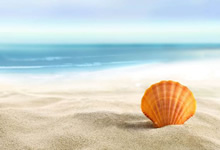 尤文图斯对阵巴塞罗那：经典传承之争