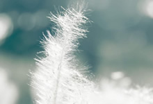 尤文图斯对阵巴塞罗那：经典传承之争