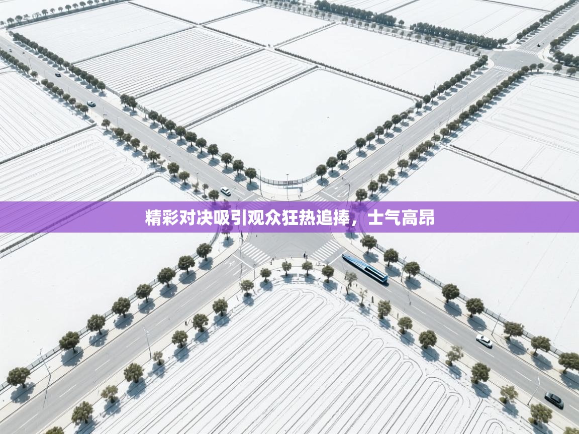 精彩对决吸引观众狂热追捧，士气高昂