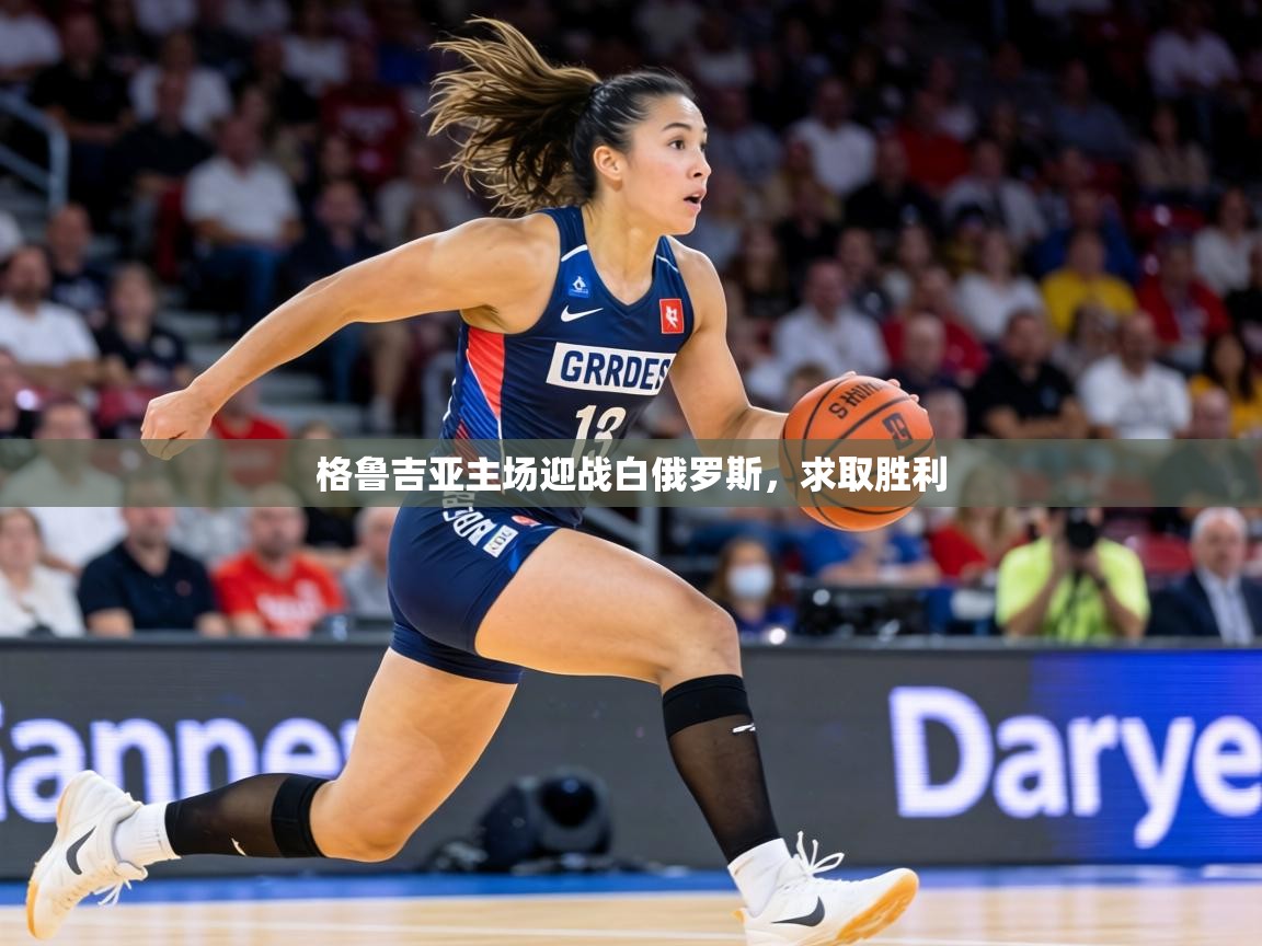 格鲁吉亚主场迎战白俄罗斯，求取胜利  第2张